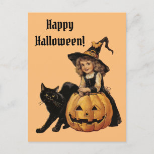 Vintage Halloween Witch with black cat and pumpkin Postcard