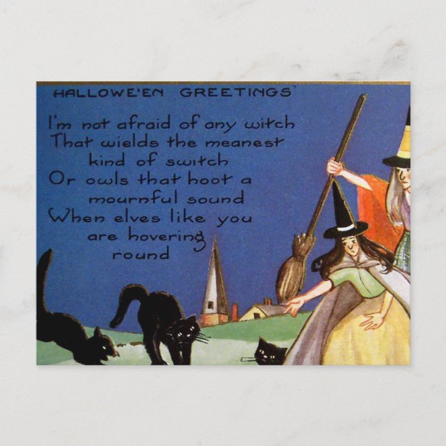 Vintage Halloween witches black cats postcard (Front)