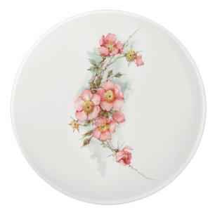 Vintage Handpainted Style Wild Roses Ceramic Knob