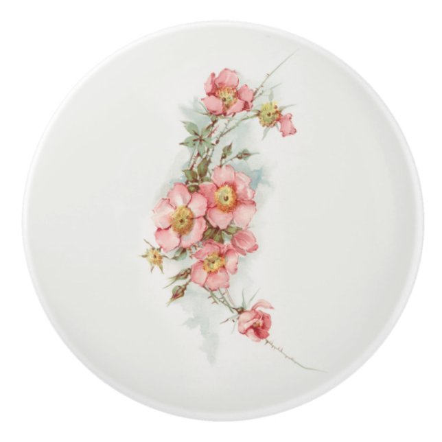 Vintage Handpainted Style Wild Roses Ceramic Knob (Front)