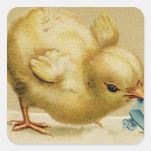 Vintage Happy Easter Chick with Blue Flowers Square Sticker