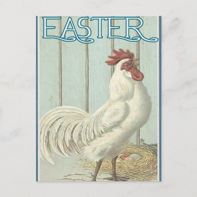 Vintage Happy Easter Chicken Postcard (Front)
