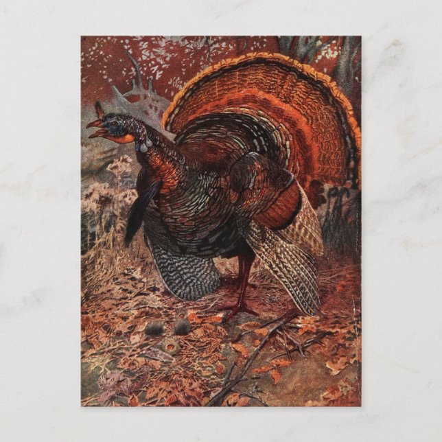 Vintage Happy Thanksgiving Turkey Holiday Postcard (Front)