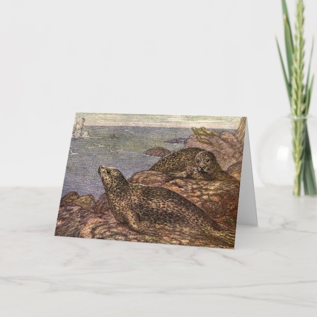 Vintage Harbour Seals, Marine Life Ocean Animals Card (Front)