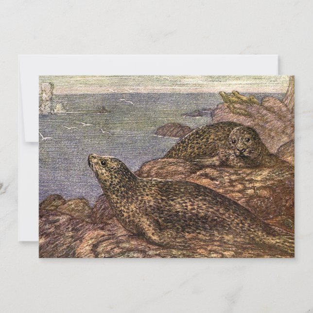 Vintage Harbour Seals, Marine Life Ocean Animals Invitation (Front)