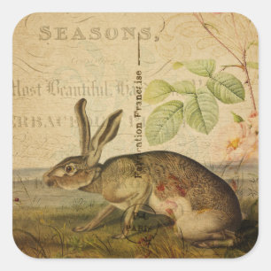 Vintage Hare Animal Illustration Floral Collage Square Sticker