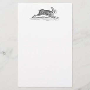 Vintage Hare Bunny Rabbit 1800s Illustration Stationery
