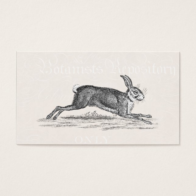Vintage Hare Bunny Rabbit Illustration - Rabbits (Front)