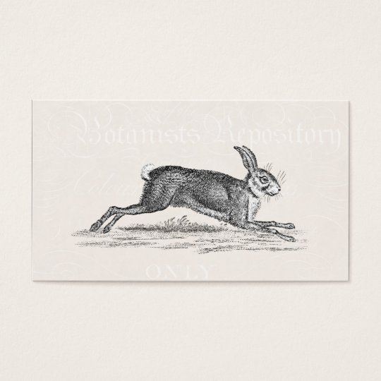Vintage Hare Bunny Rabbit Illustration - Rabbits Business Card