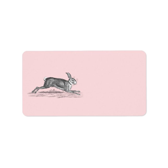 Vintage Hare Bunny Rabbit Illustration - Rabbits Label (Front)