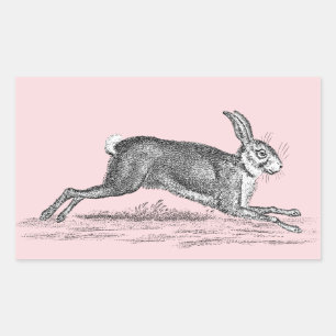 Vintage Hare Bunny Rabbit Illustration - Rabbits Rectangular Sticker
