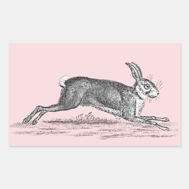 Vintage Hare Bunny Rabbit Illustration - Rabbits Rectangular Sticker (Front)