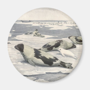 Vintage Harp Seals in Arctic Snow by Louis Fuertes Magnet
