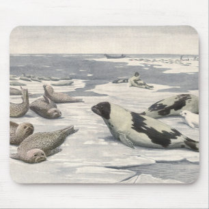 Vintage Harp Seals in Arctic Snow by Louis Fuertes Mouse Mat