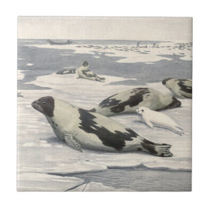 Vintage Harp Seals in Arctic Snow by Louis Fuertes Tile