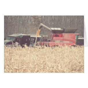 Vintage Harvest