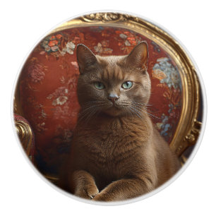 Vintage Havana Cat Portrait Regal Painting Ceramic Knob