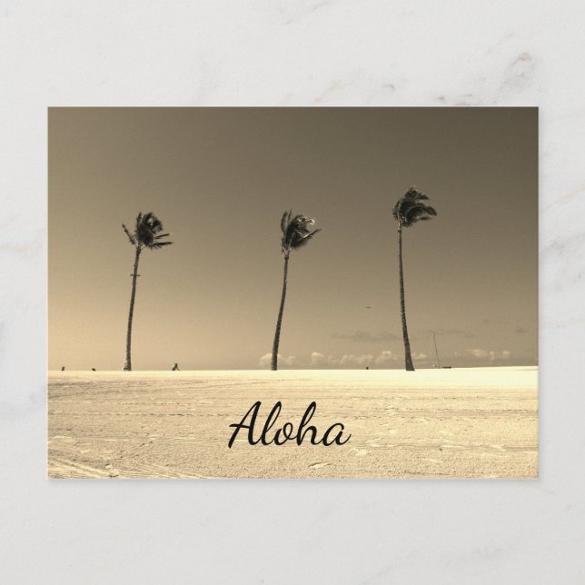 Vintage Hawaii Aloha Postcard (Front)