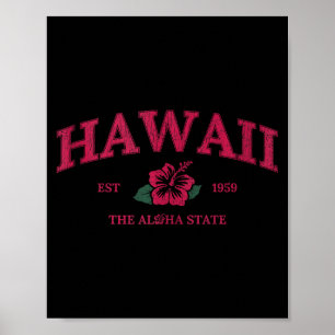Vintage hawaii aloha state hibiscus flower summer poster