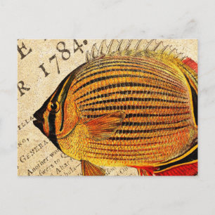 Vintage Hawaiian Butterfly Fish Customised Antique Postcard