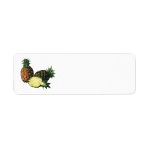Vintage Hawaiian Pineapples, Organic Food Fruit