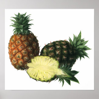 Vintage Hawaiian Pineapples, Organic Food Fruit Poster