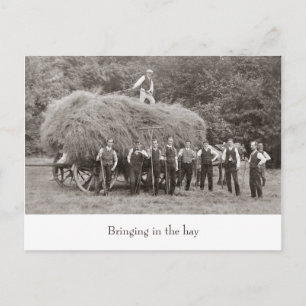 Vintage hay wagon postcard