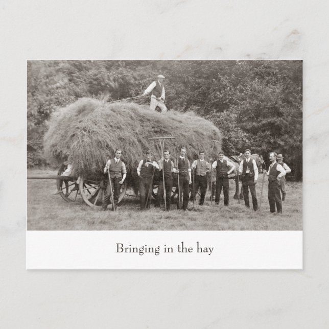 Vintage hay wagon postcard (Front)