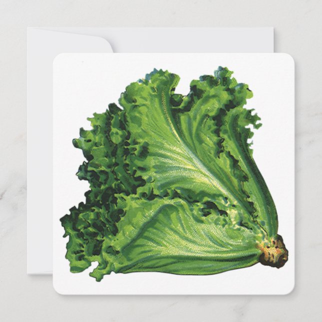 Vintage Health Foods Green Leaf Lettuce Inviation (Front)