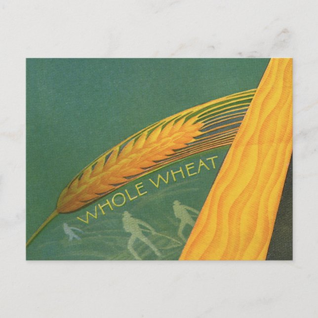 Vintage Healthy Foods, Whole Grain Wheat Bread Postcard (Front)