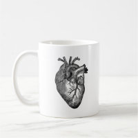 Vintage Heart Anatomy