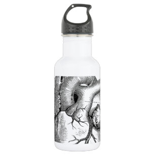Vintage Heart Anatomy   Customisable 532 Ml Water Bottle