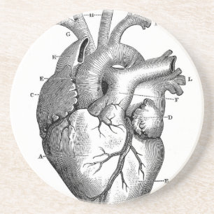 Vintage Heart Anatomy   Customisable Coaster