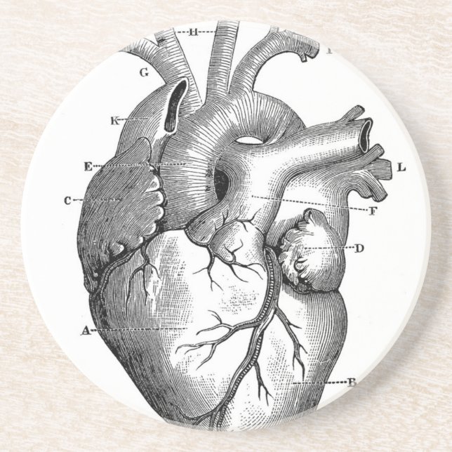 Vintage Heart Anatomy | Customisable Coaster (Front)