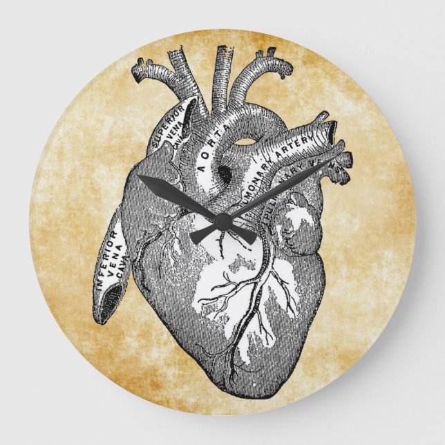 vintage heart anatomy large clock (Front)