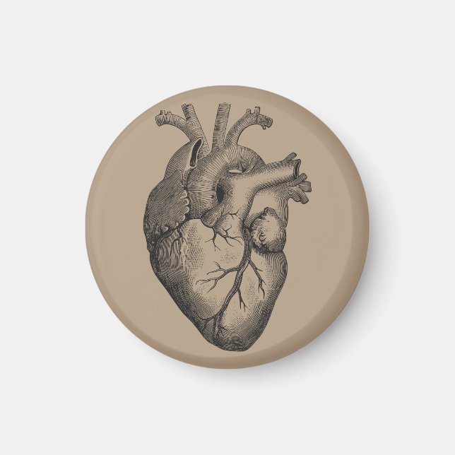Vintage Heart Illustration Magnet (Front)