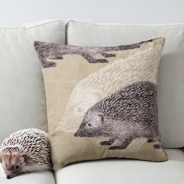 Vintage Hedgehogs Collage Cushion (Creator Uploaded)