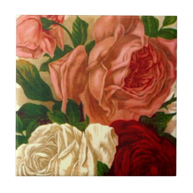 Vintage Heirloom Roses Antique Old Blush Rose Tile (Front)