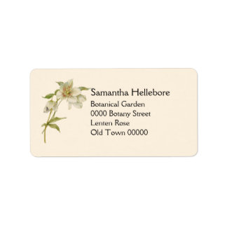 Vintage hellebore address label
