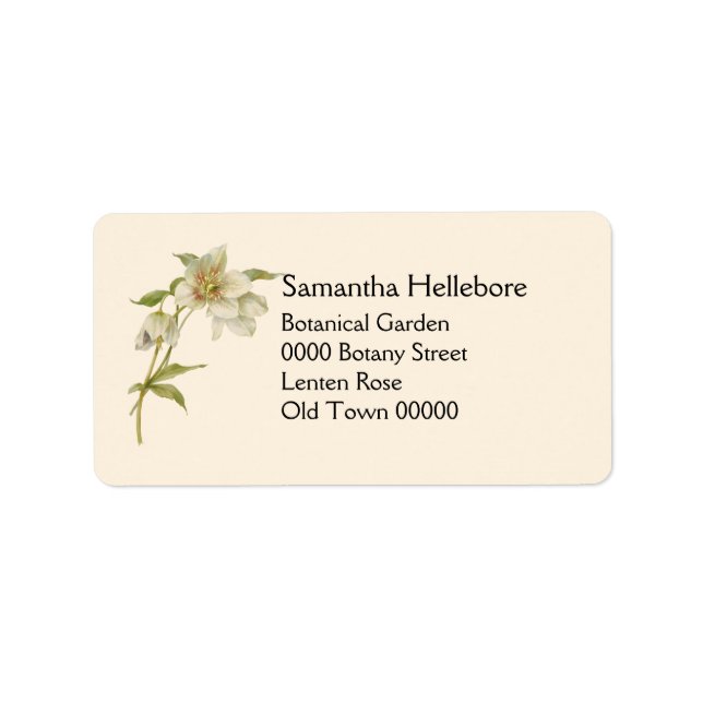 Vintage hellebore address label (Front)