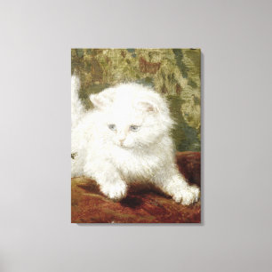 Vintage Henriette Ronner-Knip Curiousity Canvas Print