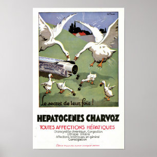Vintage Hepatogenes Charvoz French Medical Poster