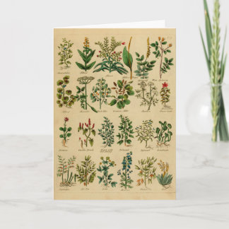 Vintage Herbal Greeting Card Series - 1