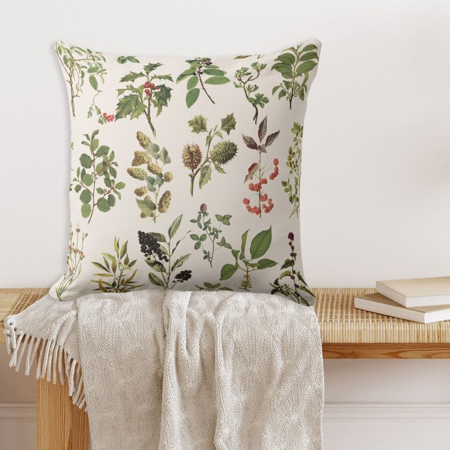 Vintage Herbarium Green Plant Chart Cushion (In situ)