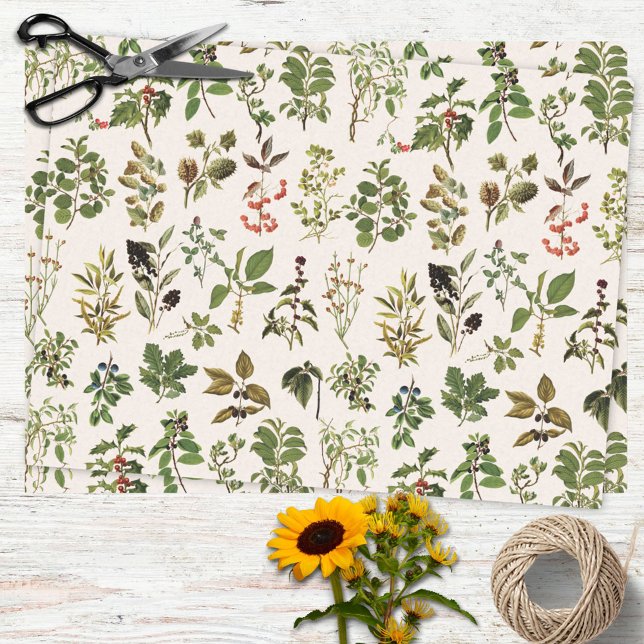 Vintage Herbarium Green Plant Pattern Tissue Paper (In situ)