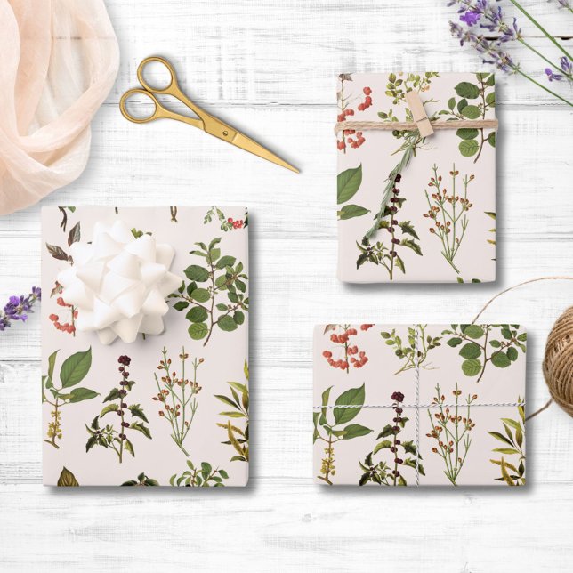 Vintage Herbarium Green Plant Pattern Wrapping Paper Sheet (In situ)