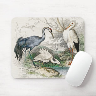Vintage Heron Stork and Crane Nature Art Print Mouse Mat