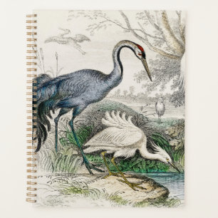 Vintage Heron Stork and Crane Nature Art Print Planner