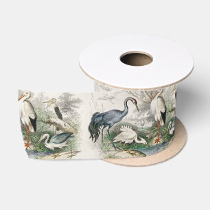 Vintage Heron Stork and Crane Nature Art Print Satin Ribbon