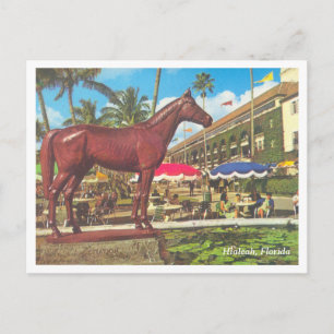 Vintage Hialeah Florida Postcard